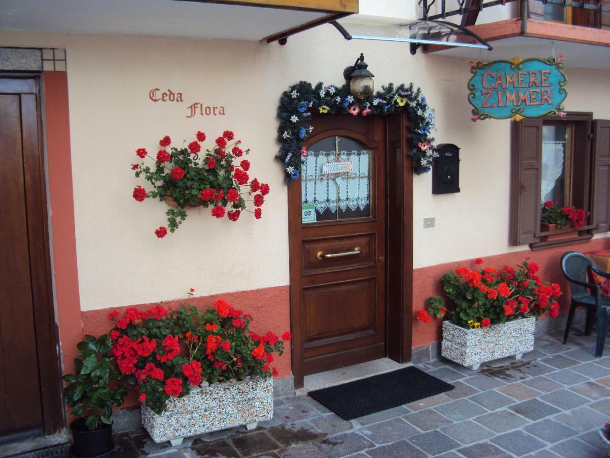La Casa Di Beppe Appartamento E Camere Danta Kültér fotó